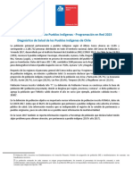 ANEXO 1. Lineamientos Pueblos Indígenas