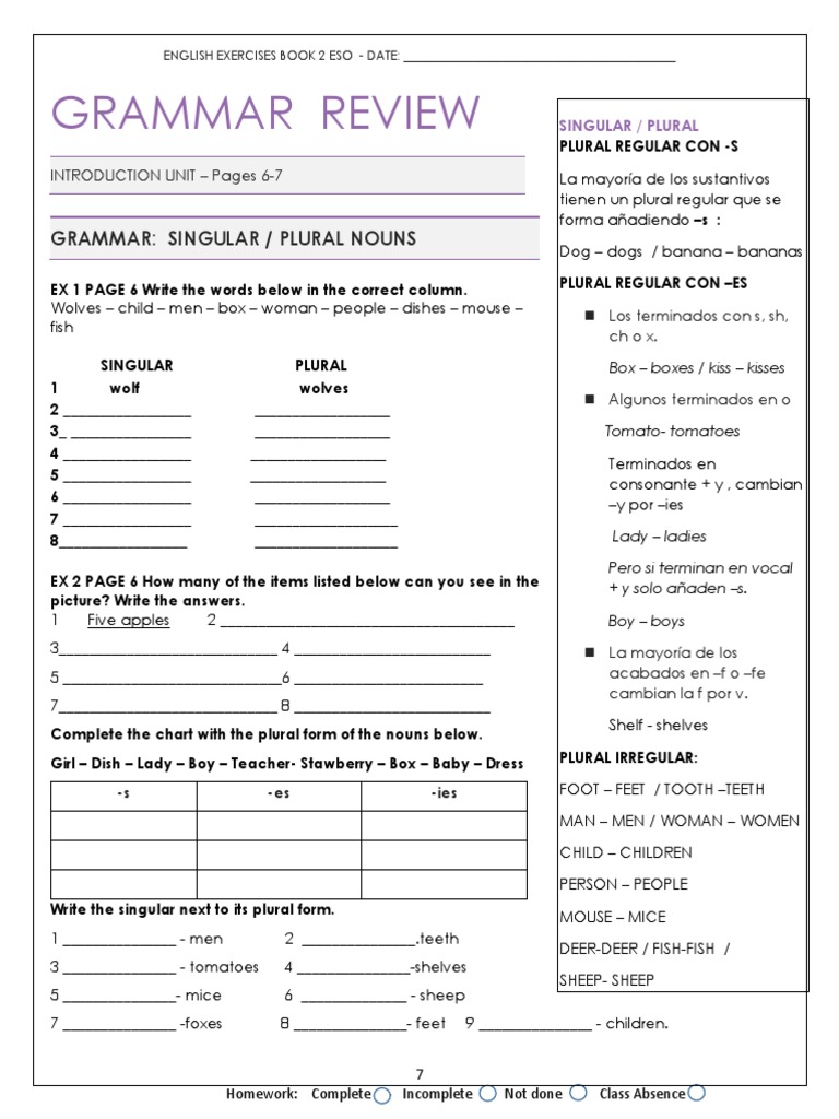 Singular and Plural Grammar Review | PDF | Grammatical Number | Plural