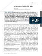 Intl Journal of Cancer - 2015 - Inoue - Transcription Factors That Interact With p53 and Mdm2