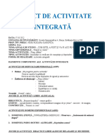 1DȘ+DPM Timp Calator Proiect Didactic Integrat (Reparat) Bun