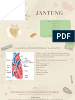 Jantung Manusia