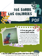 Datos Sobre Los Colibríes