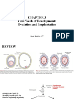 Chapter 3: Ovulation and Implantation