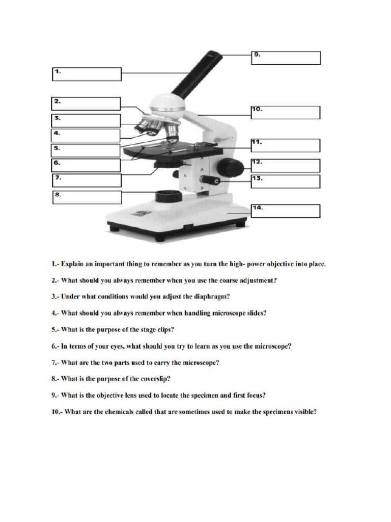 Microscope Quiz | PDF