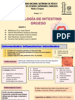 Patologogía Intestino Grueso (Diverticulitis)