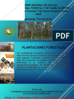 1 PPT - Plantaciones Forestales