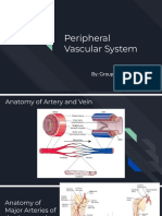 Peripheral Vascular System 
