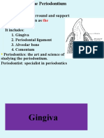 Gingiva Histology Part
