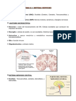 Tema 9.1. Sistema Nervioso