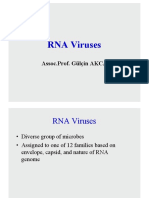 ENG (II) RNA VirusesNOTES