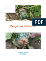 Praga Nas Abóboras