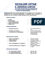 CURRICULUM VITAE LUIS SEGURA