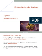 RNA Translation