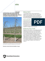 apple-rootstocks (1)