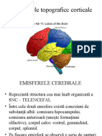 3.Sdr Topografice Corticale