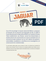 01 Guia Maestro Jaguar 2022 Octubre 1