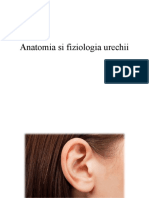 Anatomia si fiziologia urechii