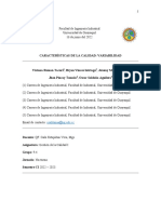 Grupo 6 - Características de La Calidad Variabilidad