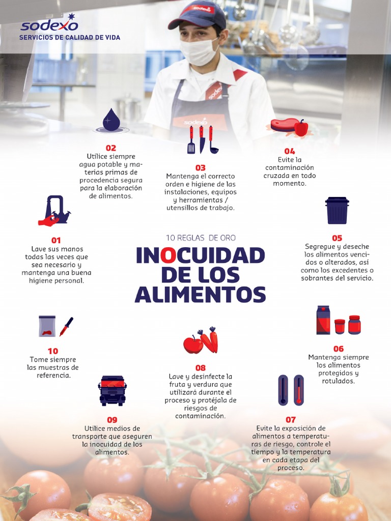 10 Reglas de Oro - Inocuidad Alimentaria (Latam) | PDF