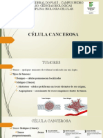 Células cancerosas: características e genes associados