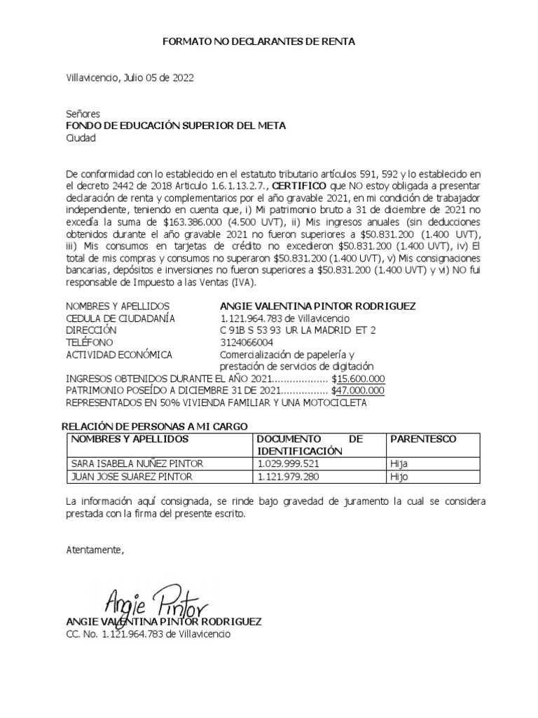 Formato No Declarantes de Renta. PDF