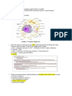 ORGANEL SEL YANG BUKAN RETIKULUM ENDOPLASMA