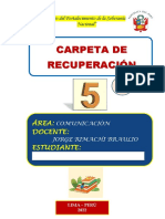 5to - Comunicación - Carpeta Recuperación - Braulio