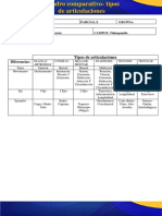 Cuadro Comparativo-Tipos de Articulaciones11