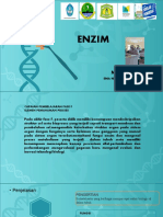 Enzim, PPT