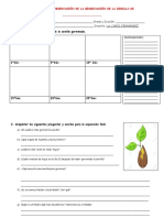 Bio 4° Proyecto N1