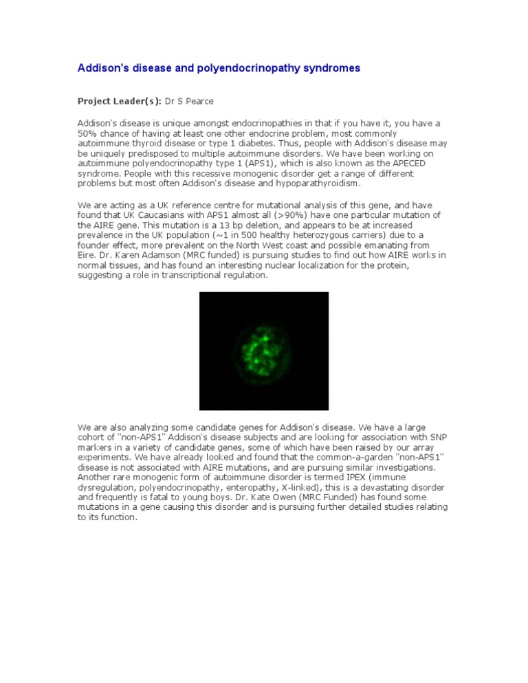 Addison | PDF