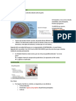 Trauma Craneoencefálico