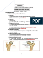 2 Femur, Patella and Tibia