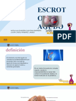Síndrome escrotal agudo: definición, causas, diagnóstico y tratamiento