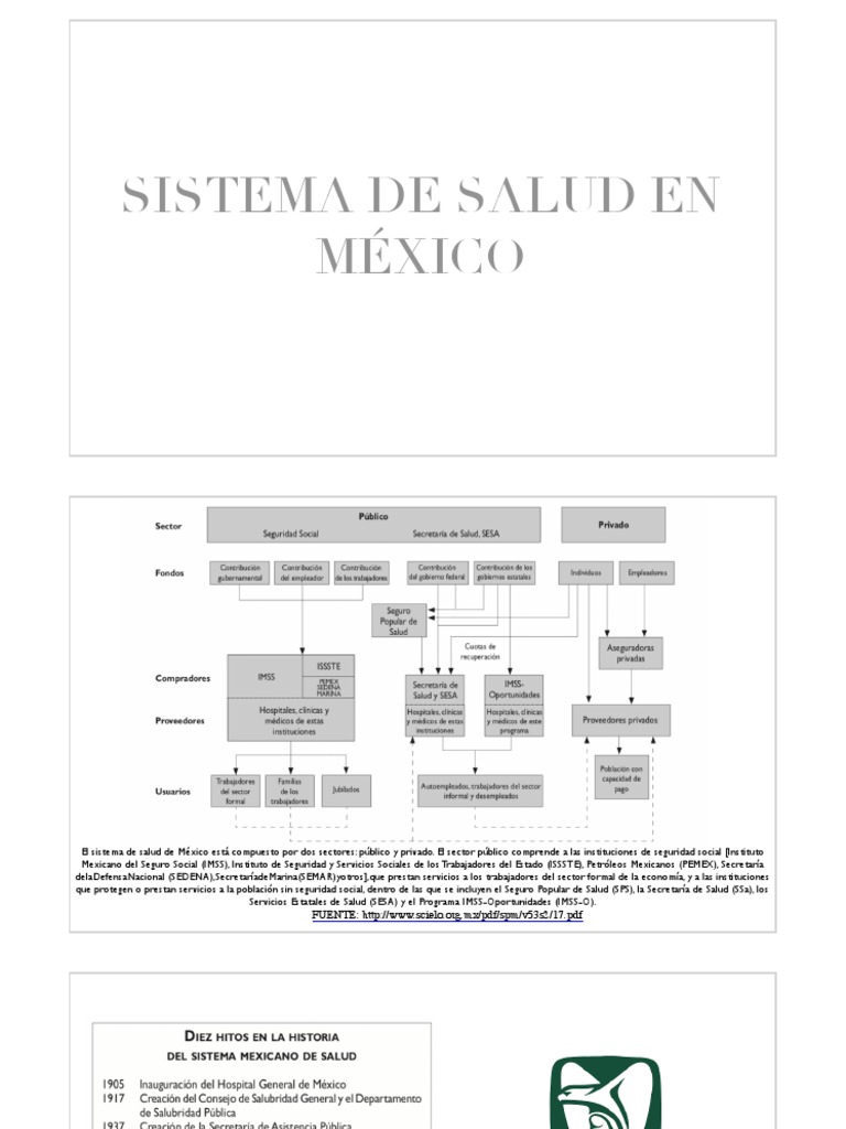 Estructura del Sistema de Salud en México | PDF | Hospital | México