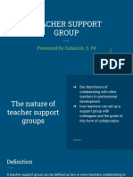 Teacher Support Group