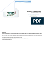 MODULO 19 - Órganos Fiscalizadores: Unadm