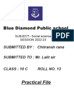 Blue Diamond Public School Social Science Project on Consumer Awareness