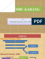 Terumbu Karang