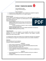 Hemostasia y coagulación sanguínea: procesos clave de la prevención de hemorragias