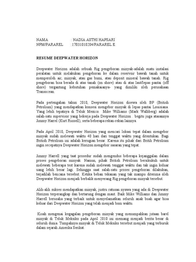 Deepwater Horizon PDF