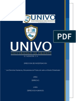 Los Derechos Humanos y Mecanismos de Protección Frente A Un Mundo Globalizado