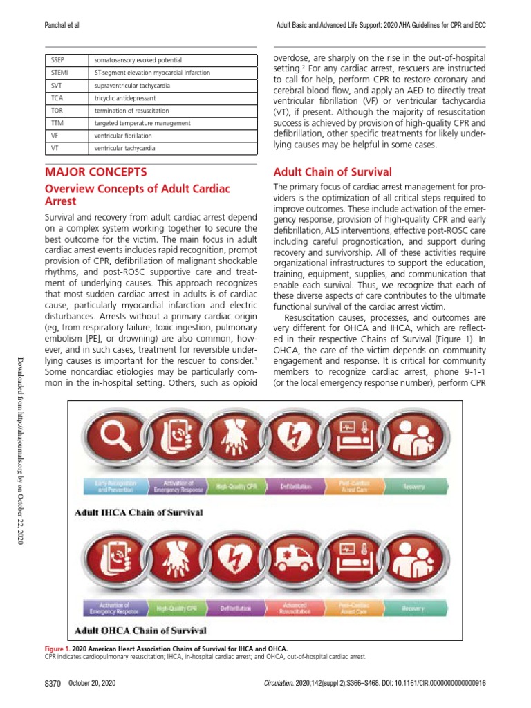 02 Guía Americana 2020 Adult Basic Life Support PDF