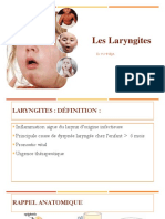 Les Laryngites
