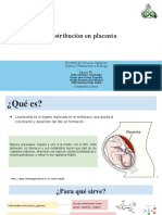 Equipo 4 Distribución en Placenta