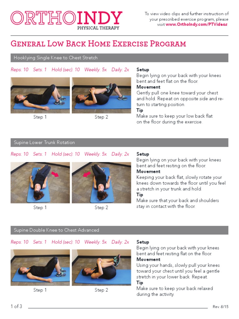 Low back home exercises | PDF | Musculoskeletal System | Human Anatomy