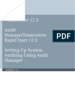 Audit Manager (Tc12.3)