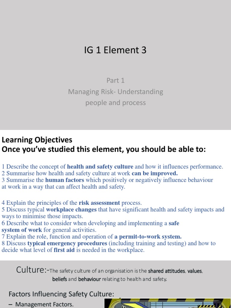 Peer Influence on Health and Safety Culture | PDF | Occupational Safety ...