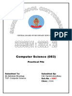 Format of Computer Lab File & List of Practicals 2022 23