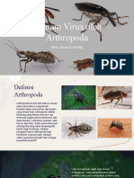 Demam Virus Oleh Arthropoda